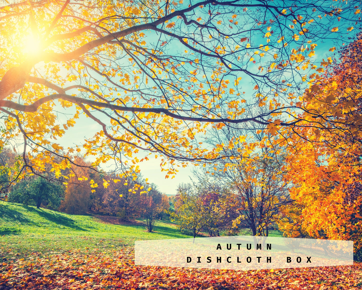 Autumn Dishcloth Box